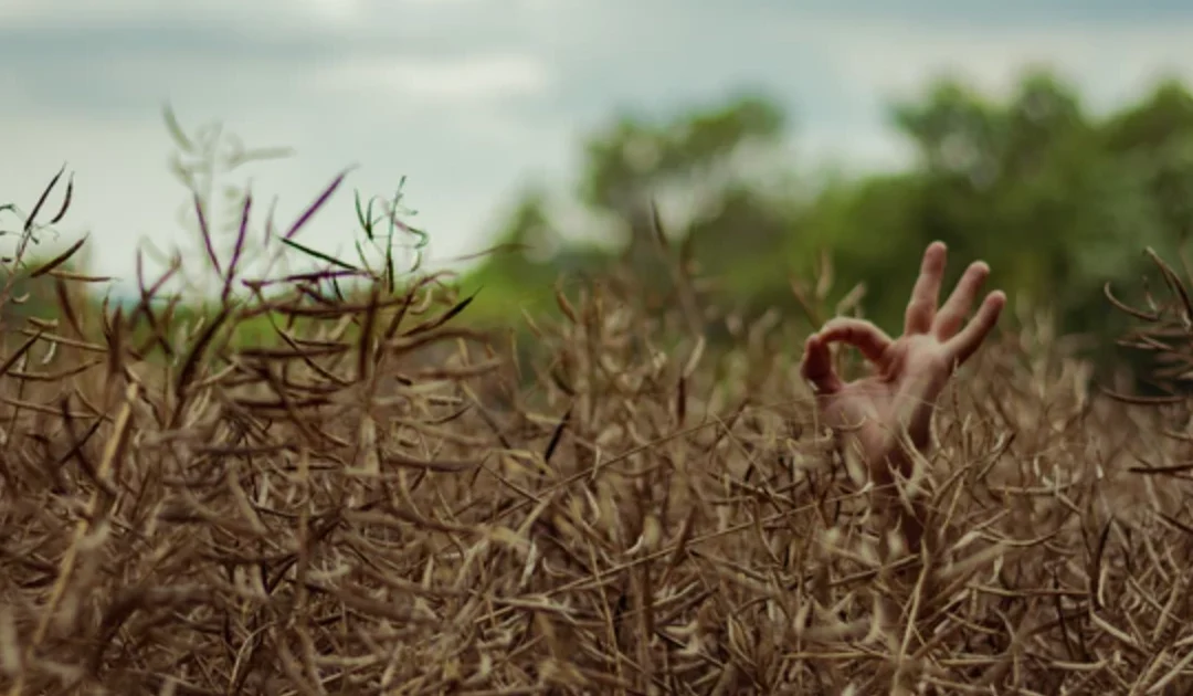 Höhere Produktivität bei niedrigeren Kosten